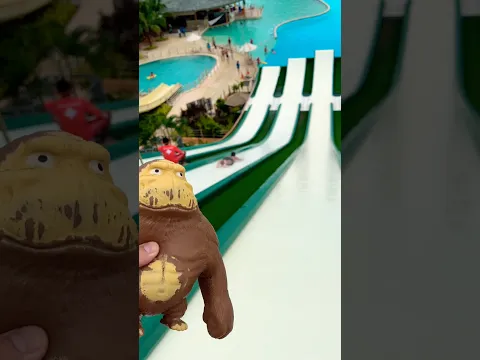 The monkey didn't understand anything but was very interested.