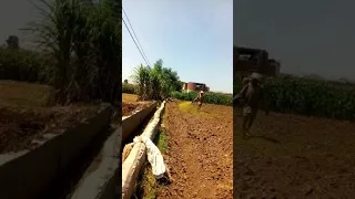 الاسطي مجدي السروي للرش الزراعي العنوان ساقية المنقدي 