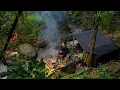 Lagu Camping Hujan di Tepi Sungai Bangun Shelter Sederhana \u0026 Dapat Umbi Tiang di Hutan