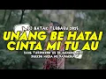 Download Lagu DJ UNANG BE HATAI CINTA - FLORA SUSANTI HASUGIAN YANG VIRAL DITIKTOK!!!!! DJ BATAK TERBARU 2025