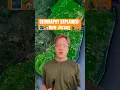 The Densest Place in America New Jersey Explained