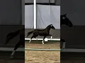Horse phonk ππ #entertainment #edit #music #phonk #fyp #shorts #horse #animals #viralvideo