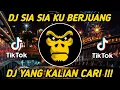Download Lagu DJ SIA SIA KU BERJUANG MERANTAU DI NEGERI ORANG REMIX VIRAL TIKTOK TERBARU 2021