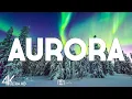 Top 10 Best Things to Do in Aurora Colorado - Travel Guide 2025
