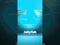 Download Lagu What \