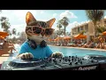 Download Lagu DJ MIAWW 🎧 Melodic House Live Set | Luxury Pool Party Nights ✨ Party Vibes in Ibiza