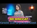 Download Lagu Sri Minggat Karaoke Tanpa Vocal Cowok || Sony Jozz || Voc Putri Chiko