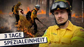 Immer mehr Waldbrände in Deutschland: Wie riskant ist der Einsatz beim Katastrophenschutz?