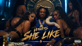 Venvens - She Like (Audio) #New