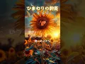 秦 基博 『ひまわりの約束』 【歌詞動画】
