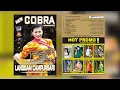 Download Lagu FULL ALBUM NEW COBRA VOL. 19