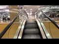 Schindler Escalators at Dillard s - Clearwater FL