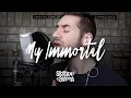 Download Lagu My Immortal - Evanescence (cover by Stephen Scaccia)