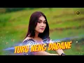 Download Lagu DIKE SABRINA - TURU NANG DADANE  ( Official Music Video )