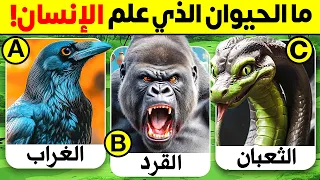    اسئلة واجوبة ومعلومات ثقافية مفيدة عن الحيوانات   عالم الحيوان   الغاز للاذكياء     دندنها