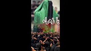 عفتيني بوكت موخوش تكتل فركتج يمه 