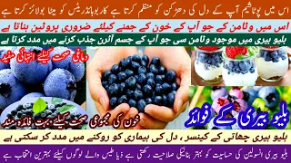 بلیو بیری کے فوائد                        دندنها