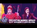 Download Lagu PENAMPILAN CIAMIK! Elvy Sukaesih X Lesti Kejora Buat Satu Studio Goyang | ROAD TO KILAU RAYA