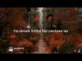 Stella Lefty - Why Wouldn't We (Lyrics)