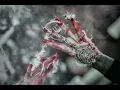 Download Lagu Echoes Of Ashes by Hæresis (official lyric video) 
