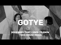 Download Lagu Gotye - Somebody That I Used To Know (Termnnt Remix) [TECH HOUSE]