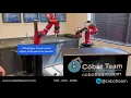 Sawyer Cobot Communication Via
