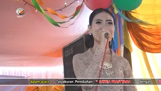 cokek pandawa podang kuning voc intan