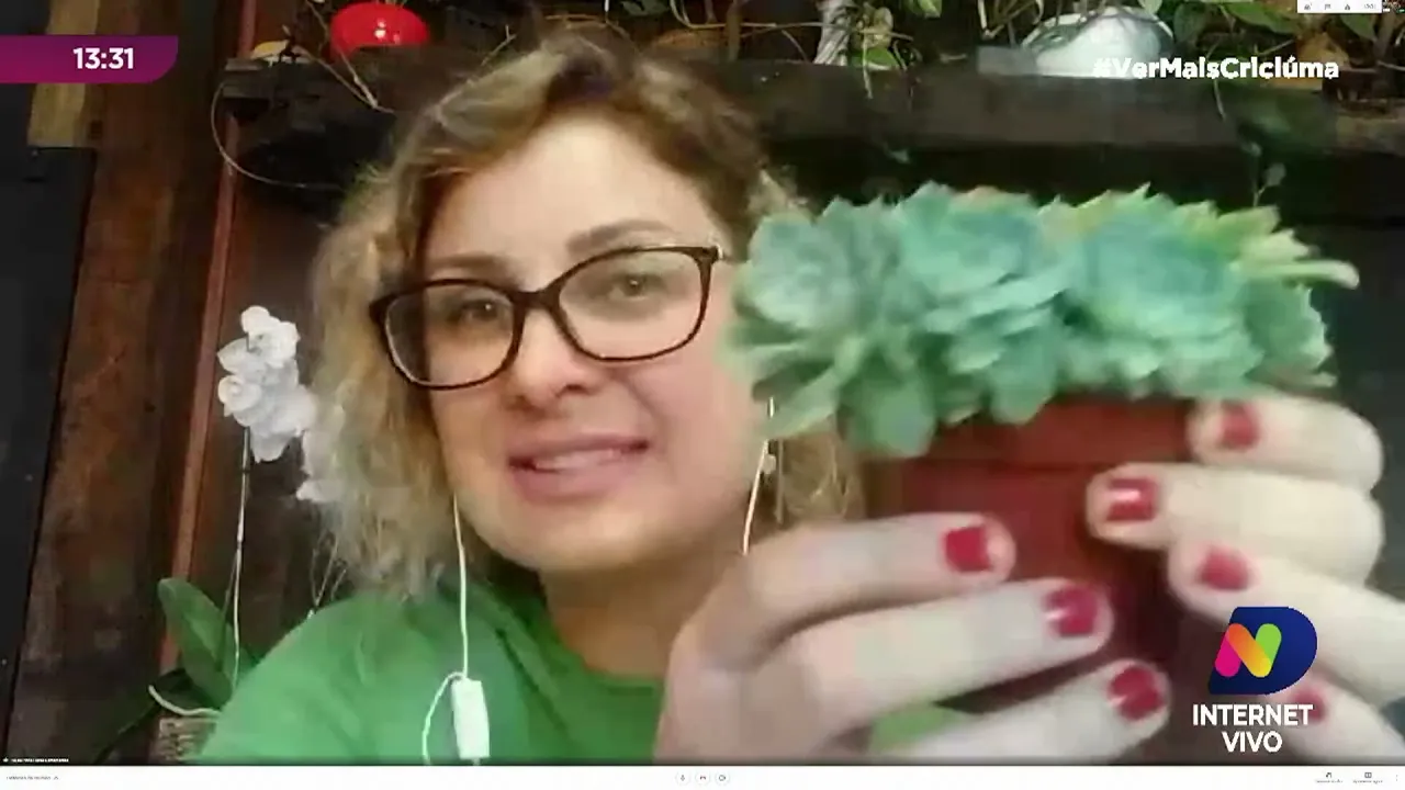 As fases da lua e sua influência no desenvolvimento das plantas