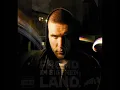 Fler - Neue Deutsche Welle 2005