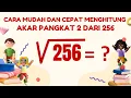 Square root of 256 - quick way to calculate square root of 256