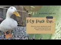 Easy Mess-Free Duck Enclosure DIY Self-Cleaning Duck Run