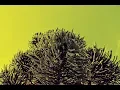 Download Lagu [No Copyright Sound] [ FREE USE MUSIC ] - tubebackr - Fresh Up - [Chill Pop]