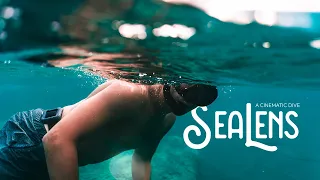 video_image