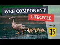 The Web Component Lifecycle and vanilla JavaScript