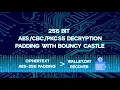 Educational Case 15 94 BTC Recovered via Padding Oracle AES-256-CBC in Bitcoin Core Wallet Dat