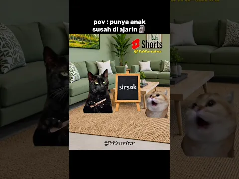 susah banget di ajarin..🗿#kucing #meme #hiburan #sound #youtube #shorts #lawak #catlovers