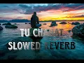 Download Lagu Tu Chahat mohabbat #sajde #slowedandreverb 