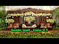 Gambir Sawit - Lindur Sl 9