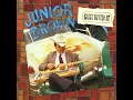 Junior Brown - Highway Patrol