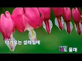 [은성 반주기] LOVE - 프라이머리(Primary).범키(Bumkey).팔토알토(Paloalto)