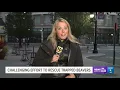 Chelsea Strub News Reel 2021