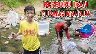 Download BERBURU IKAN CUPANG DI PINGGIR KALI KOTOR DAPET IKAN CUPANG BAGUS MP3