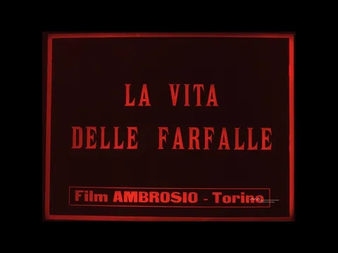 La vita delle farfalle (Roberto Omegna, 1911)