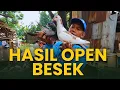 Lagu Serunya Open Besek Merpati Bareng Bareng... Siapa Cepat Dia Yang Beruntung