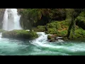 Lagu Beautiful Relaxing Music | Nature waterfall Sounds | Deep Relaxing video