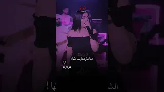 انت هتحبها وانا احبها والشاطر اللي يركبها 