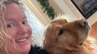 viewer q u0026a get to know me disney parks with love