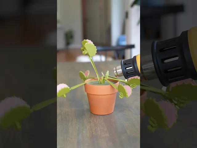 Venus Flytrap Snack Clips - Bag Clips video thumbnail