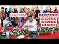 Download Lagu BURUNG KENEK KENEK | LAGU MELAYU DELI | KUMPULAN LAGU MELAYU 2020