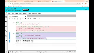 Python Indentation - How to engage with the readings CS105 at UIUC